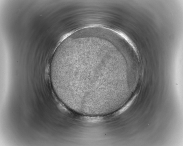 X0000084561001200703161701