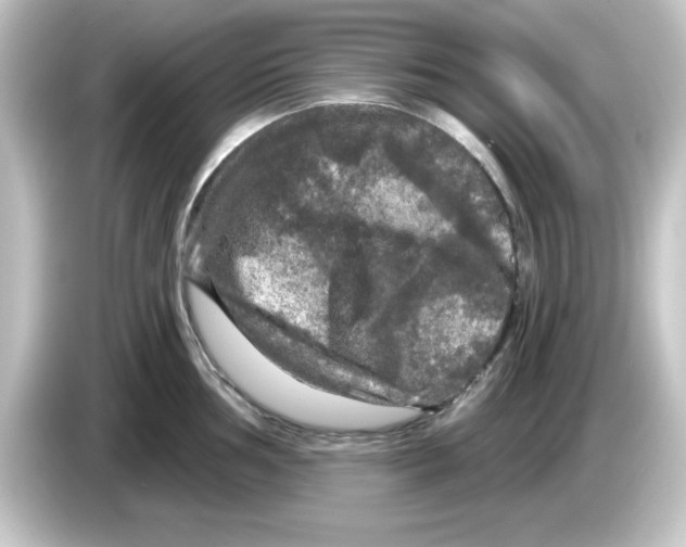 X0000084561002200703161701