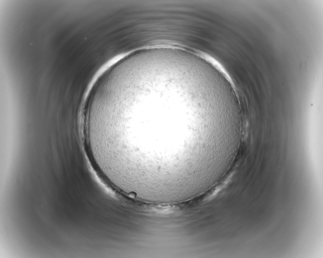 X0000084561003200703161701