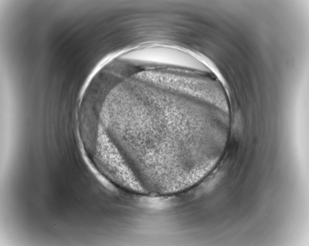 X0000084561005200703161701