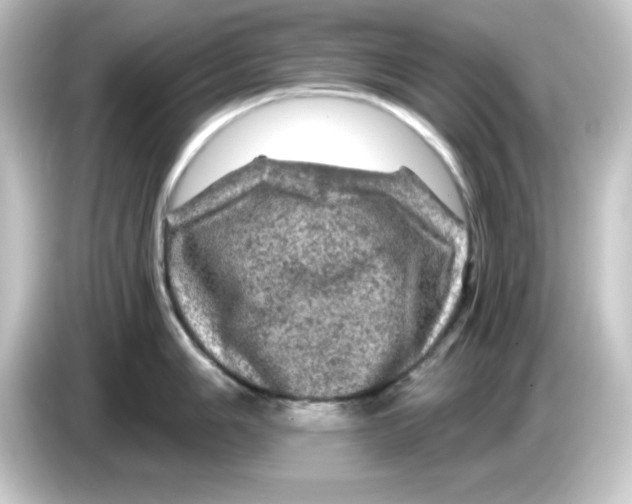 X0000084561006200703161701