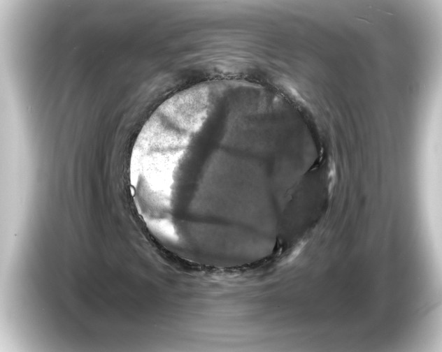 X0000084561009200703161700