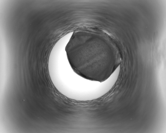 X0000084561010200703161700