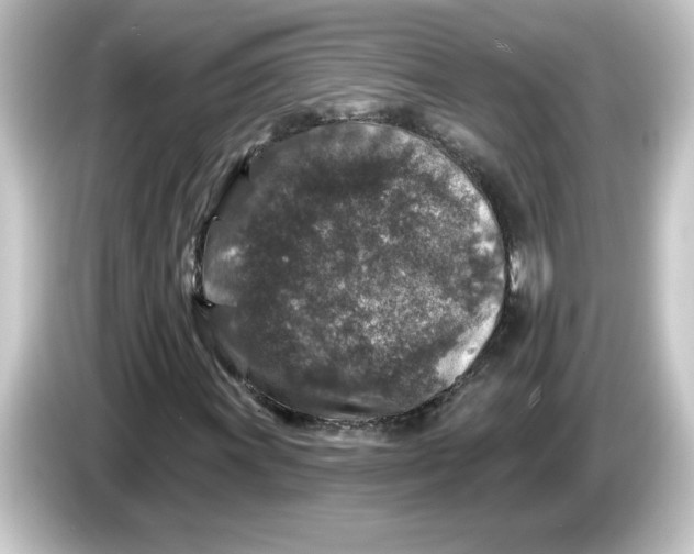 X0000084561011200703161700