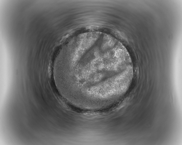 X0000084561012200703161700