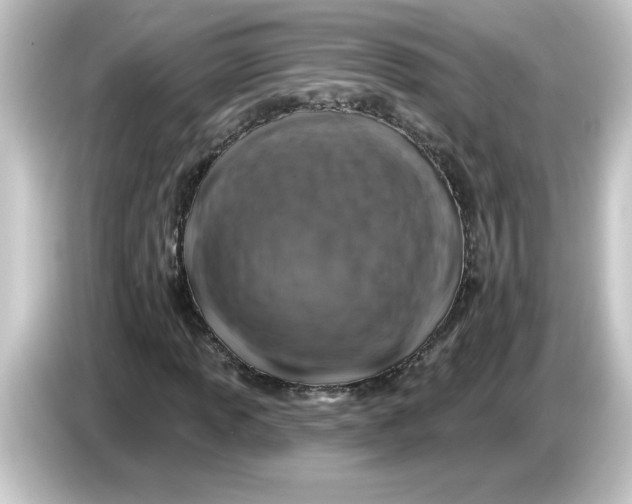 X0000084561013200703161700