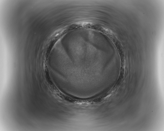 X0000084561014200703161700