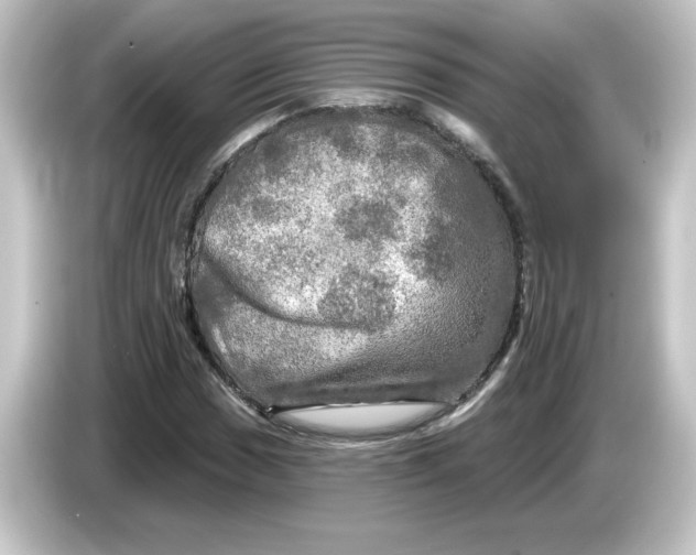 X0000084561017200703161700