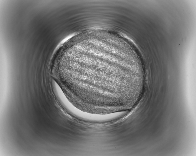 X0000084561018200703161700