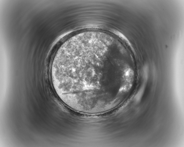 X0000084561019200703161700