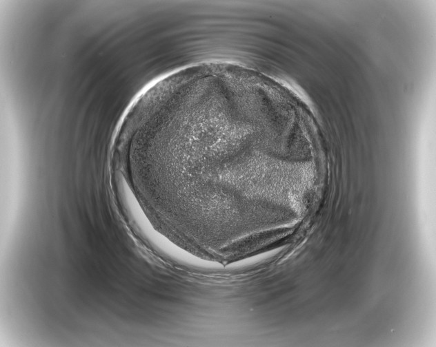 X0000084561020200703161700