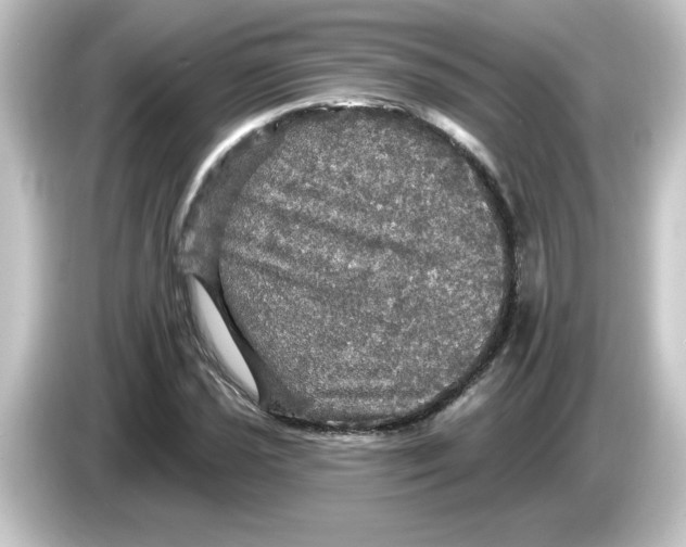 X0000084561021200703161700