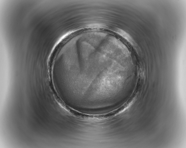 X0000084561022200703161700