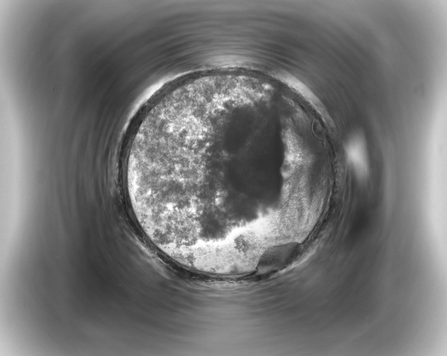 X0000084561023200703161700