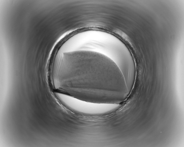 X0000084561024200703161700