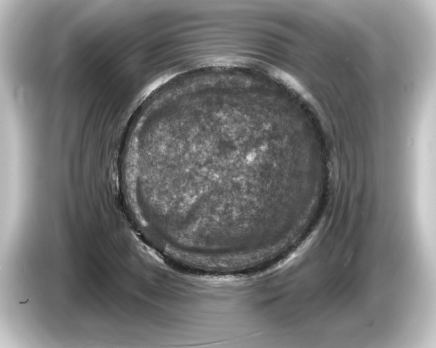 X0000084561025200703161700