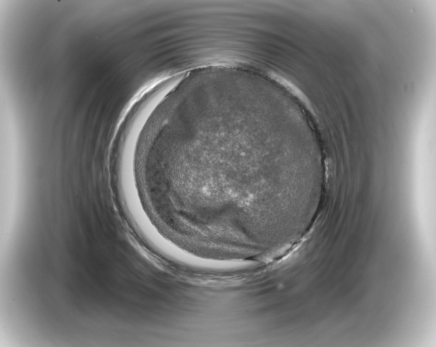 X0000084561026200703161700