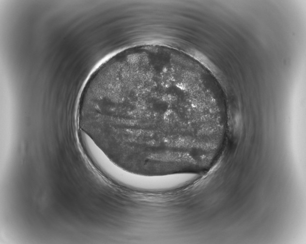 X0000084561028200703161700