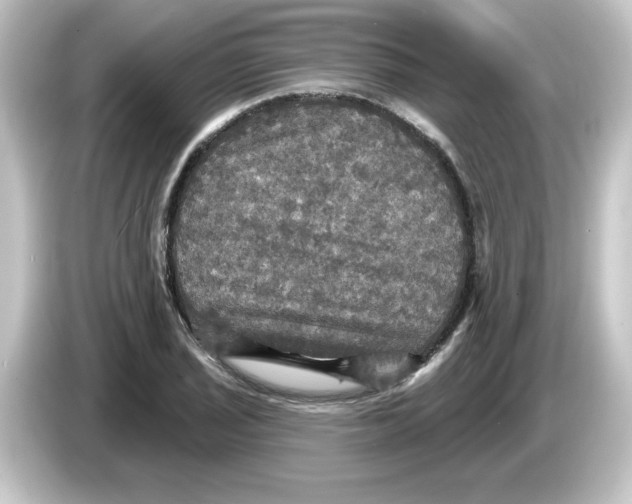 X0000084561029200703161700