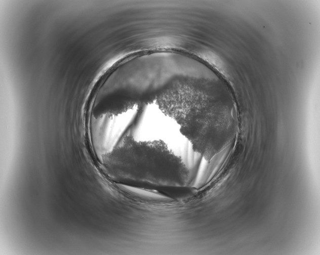 X0000084561031200703161700