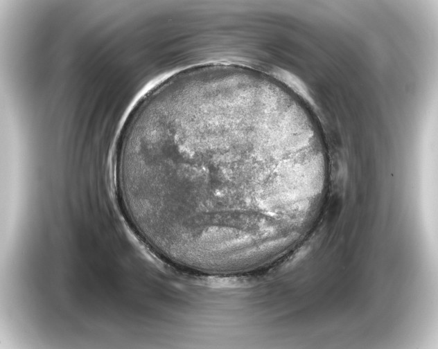 X0000084561032200703161700