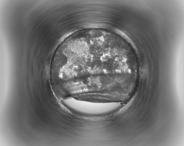 X0000084561033200703161700