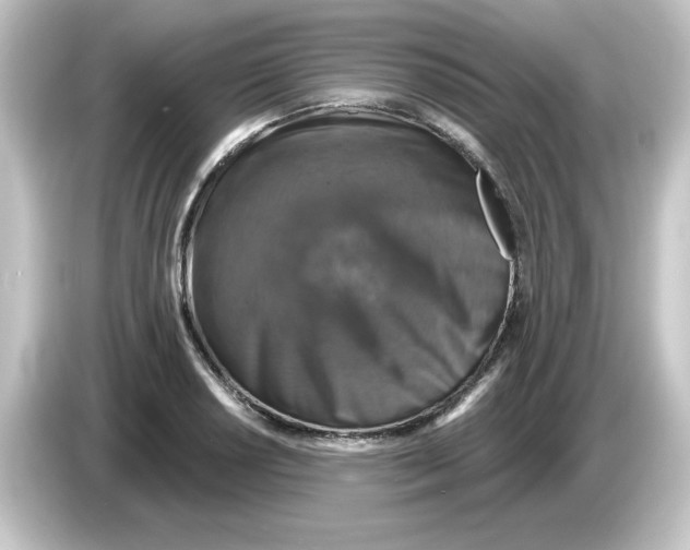 X0000084561034200703161700