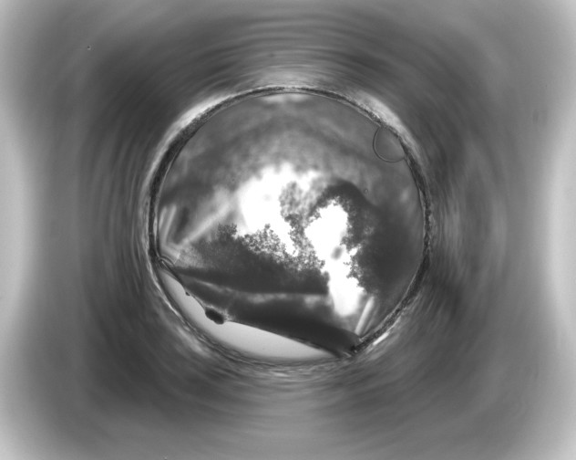 X0000084561035200703161700