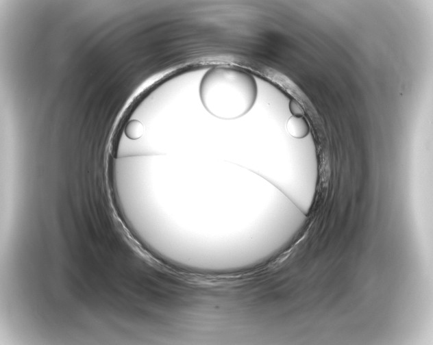 X0000084561036200703161701