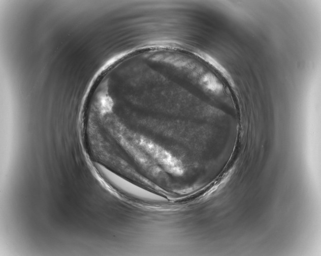 X0000084561037200703161701