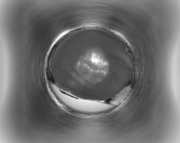 X0000084561038200703161701