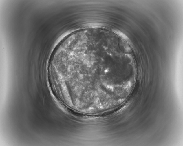 X0000084561039200703161701