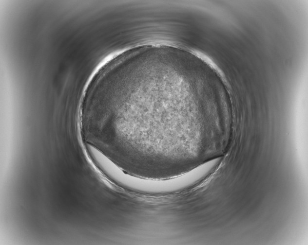 X0000084561040200703161701