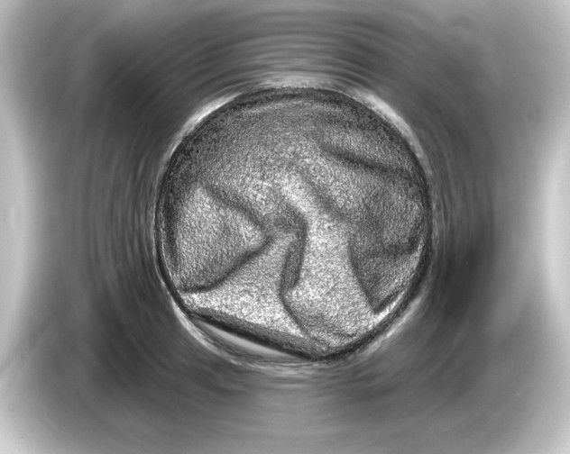 X0000084561041200703161701