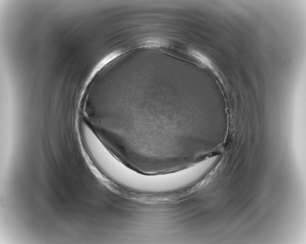 X0000084561042200703161701