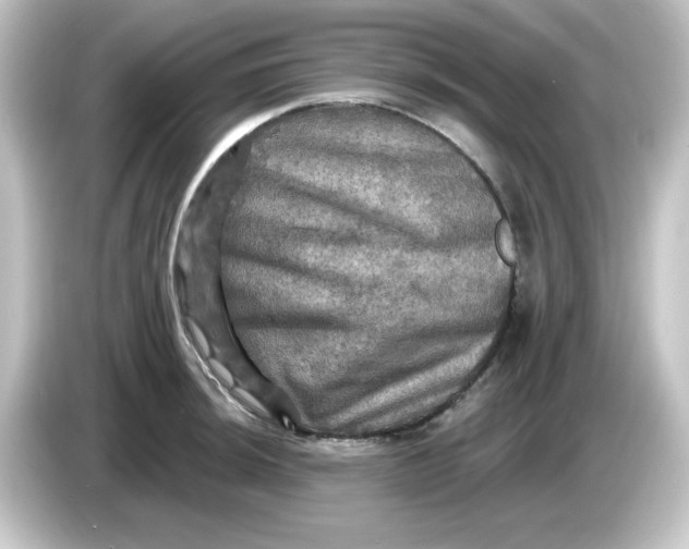 X0000084561044200703161701