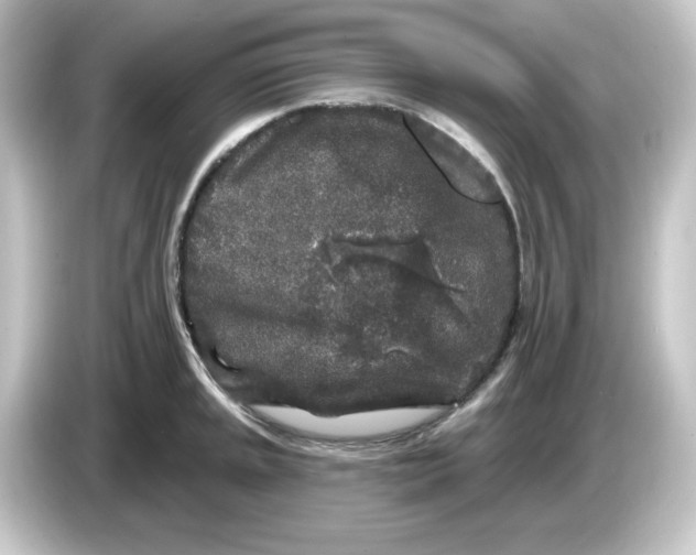 X0000084561045200703161701