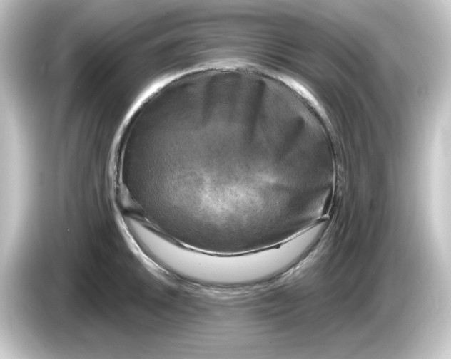 X0000084561046200703161701