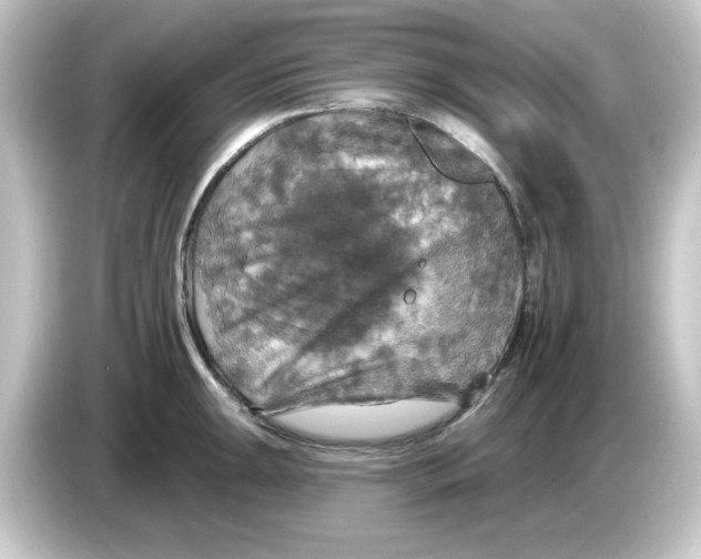 X0000084561047200703161701