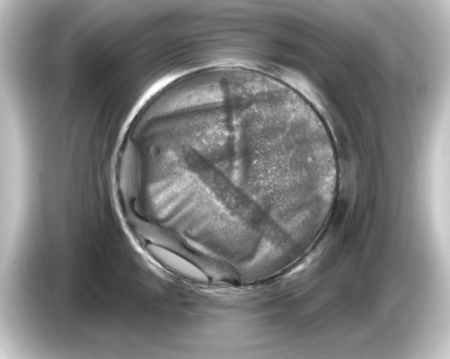 X0000084561048200703161701