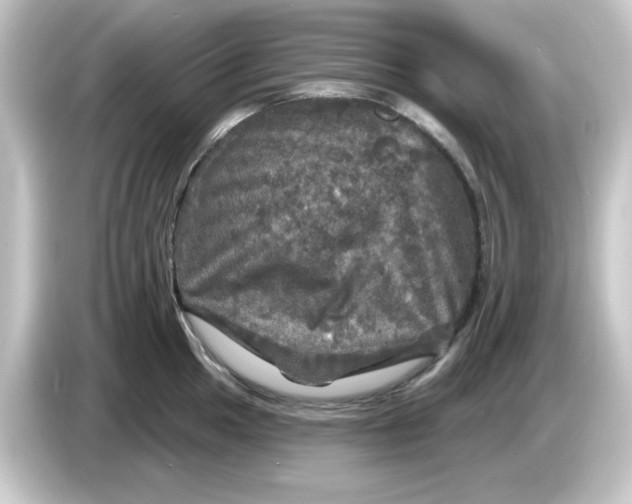 X0000084561049200703161701