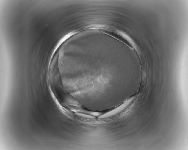 X0000084561050200703161701