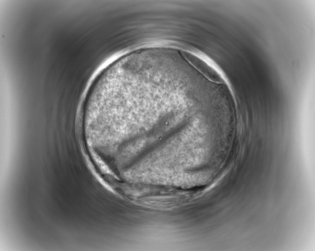 X0000084561053200703161701