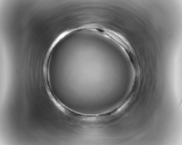 X0000084561054200703161701