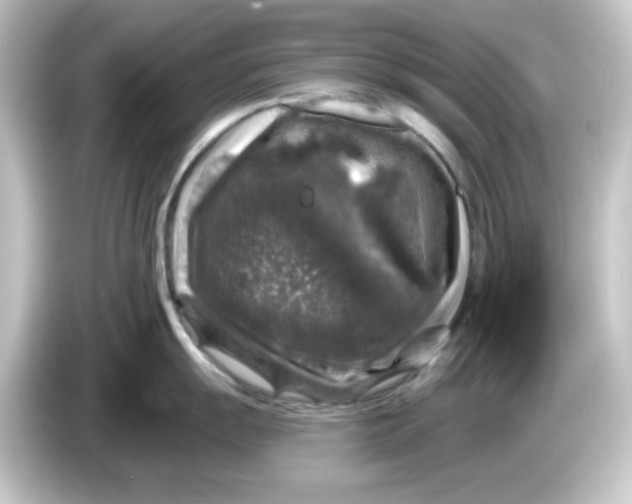 X0000084561055200703161701