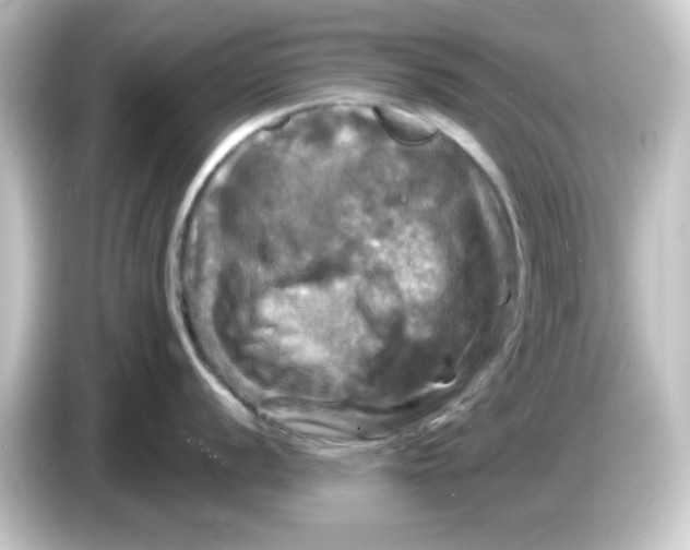 X0000084561056200703161701