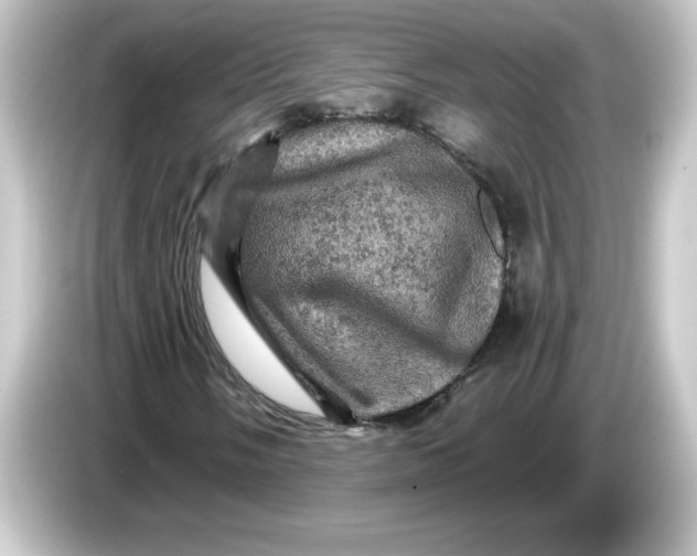 X0000084561058200703161700