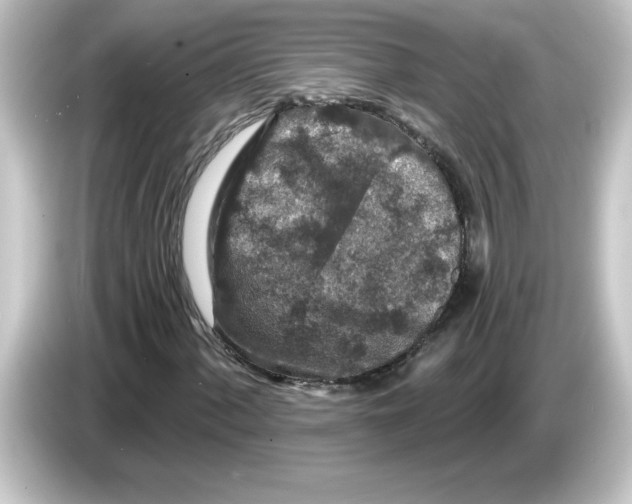 X0000084561060200703161700