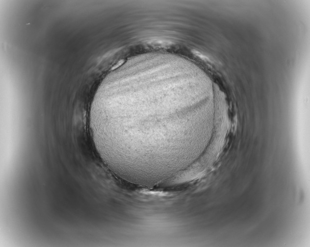 X0000084561061200703161700