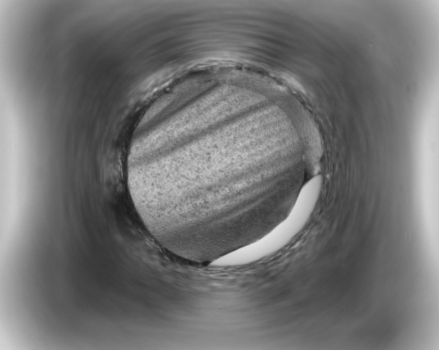 X0000084561062200703161700